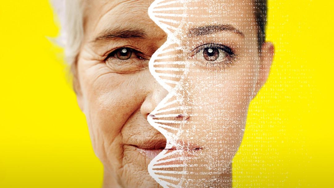 Bekleme ve dinlenme alanı Dinlenme ve bekleme alanı