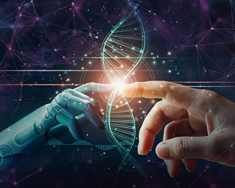 Merkez detay ve dekorasyon Merkez detayları